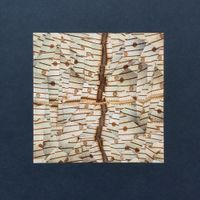 Sage Alyte - Paume de Pierre