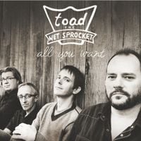 Toad the Wet Sprocket - All You Want