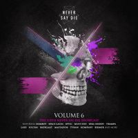 Various Artists - Never Say Die Vol. 6
