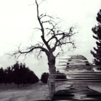 Madison Cunningham - Broken Harvest