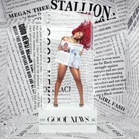 Megan Thee Stallion - Cry Baby