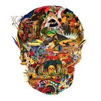 Cristian Vogel - Rebirth Of Wonky
