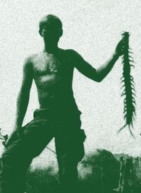 Bug Catcher - Natural Warfare