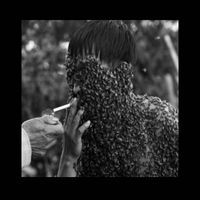 Bug Catcher - Melissophobia