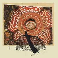 David Fenech & Klimperei - Rainbow de nuit