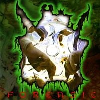 Mortal Decay - Forensic