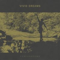 Vivid Dreams - Foreshadows