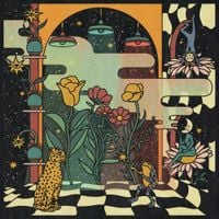 Ryley Walker & Kikagaku Moyo - Deep Fried Grandeur