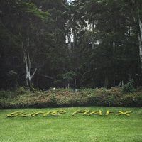 Chinv - BurleMarx