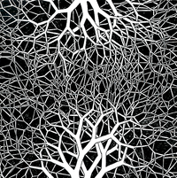 Grouper / City Center - False Horizon / This Is How We See in the Dark