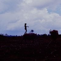 Naked Days - My Head Hz