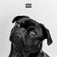 Diversify - CORONA SZN: THE ALBUM