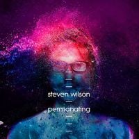 Steven Wilson - Permanating