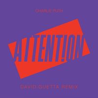 Charlie Puth - Attention (David Guetta Remix)