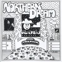 Bill Nelson - Northern Dream