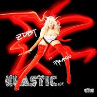 ZDBT - ELASTIC