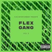 Various Artists - Flex Gang, Vol. 3