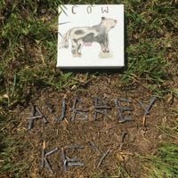Aubrey Key - Cow