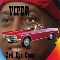 Viper - 3rd Eye Open