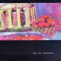 The For Carnation - Fight Songs