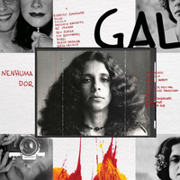 Gal Costa - Nenhuma Dor