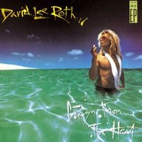 David Lee Roth - Crazy from the Heat