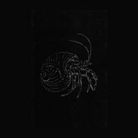 Prurient - Sexual Magic