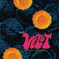 The Veldt - Marigolds