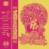 Frankie and the Witch Fingers - Levitation Sessions