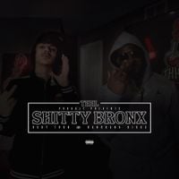 BabyTron & BandGang Biggs - Shitty Bronx