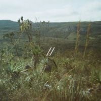 O Cerne - interfer&ecirc;ncias​/​/​desviver