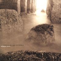 Robert Rich - Temple of the Invisible