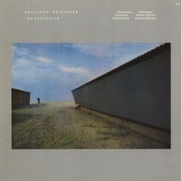 Adelhard Roidinger - Schattseite