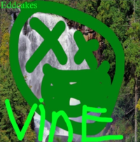 Eddcakes - Vine