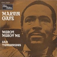 Marvin Gaye - Mercy Mercy Me (The Ecology)