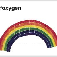 Foxygen - Ghettoplastikk