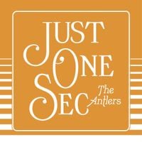 The Antlers - Just One Sec