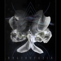Sataray & Zania Morgan - Argyropoeia