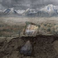 Unprocessed - Perception
