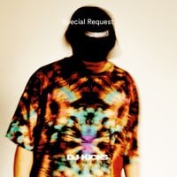 Special Request - DJ​-​Kicks