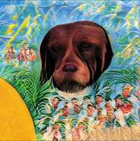 Broccaloo - Lovers into Surfboards