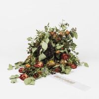 Frederik Valentin - 0011000
