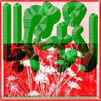 Various Artists - Liptov