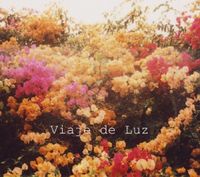 Tobog&aacute;n Andaluz - Viaje de Luz