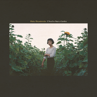 Haley Heynderickx - The Bug Collector