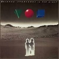Peter Baumann - Strangers in the Night