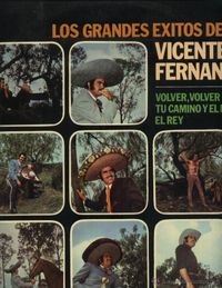 Vicente Fernández - Los Grandes &Eacute;xitos de Vicente Fernandez