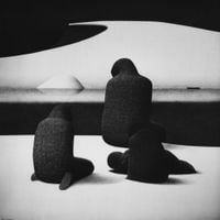 CFCF - Radiance and Submission