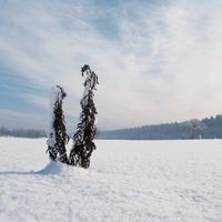 Ceare Point Station - Cokice​/​1