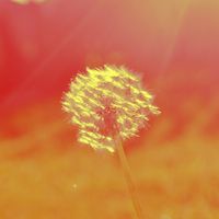 We Are Only Human Once - Yellow